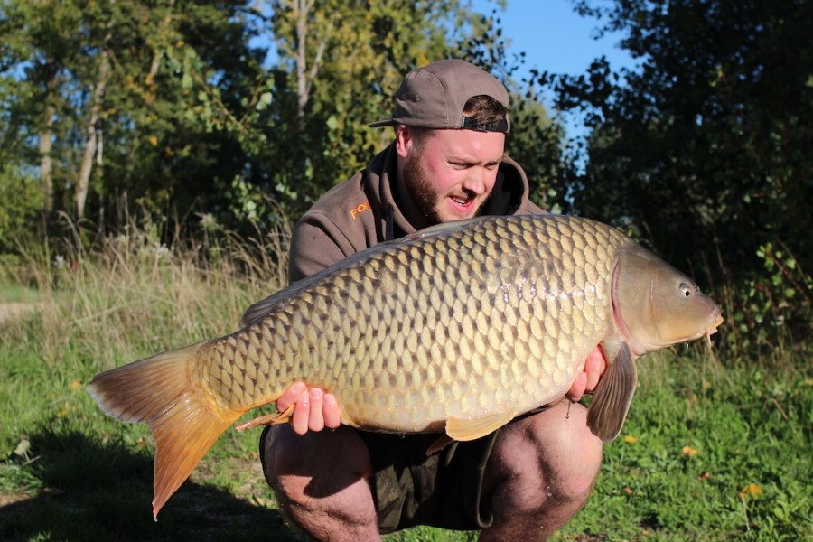 Gav with a chunky common