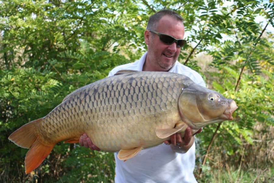 Another 40 for Glynn, 'The Carp Acadeny Common'