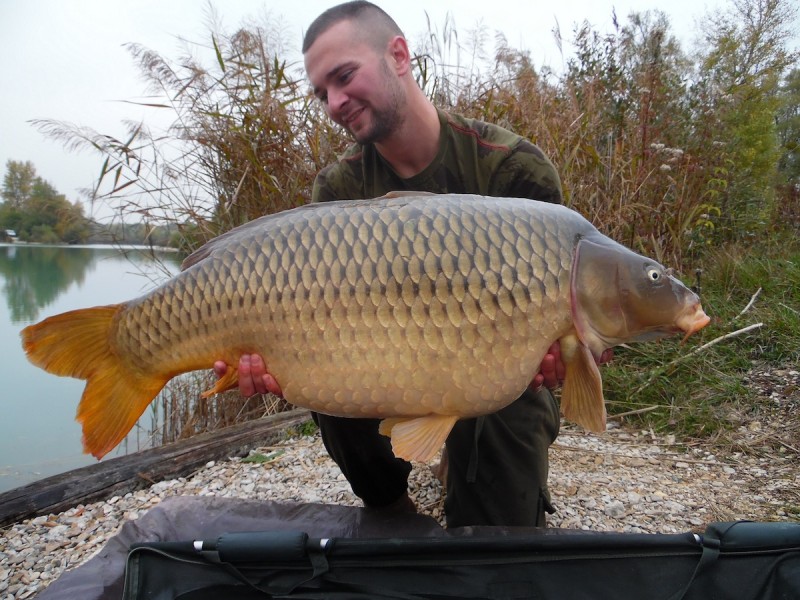 luke with Mable at 40lb14oz common