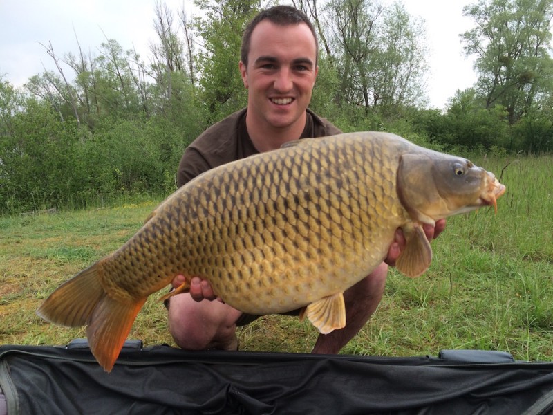 A 25lb Common from Billys