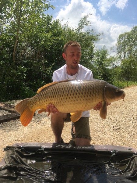 30lb common from Birches