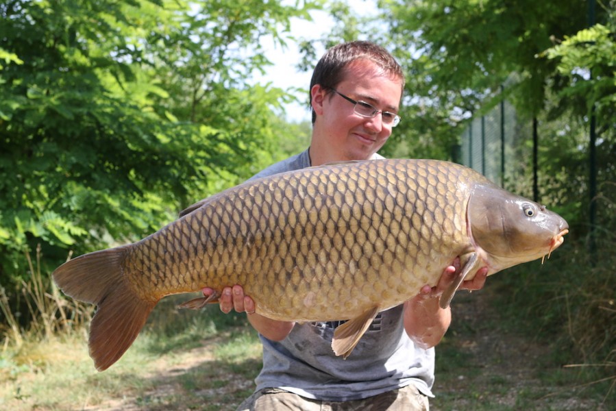 A 36lb common for Toby