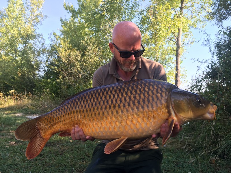 34lb 8oz Common from the Poo