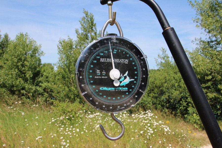 Our new Gigantica Scales for the Road lake
