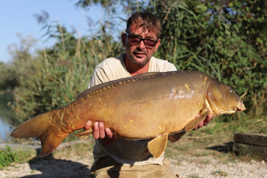 Chalky White, 33lb 8oz, Dunkerque, 18.81.8
