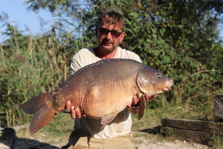 Chalky White, 31lb, Dunkerque, 18.81.8
