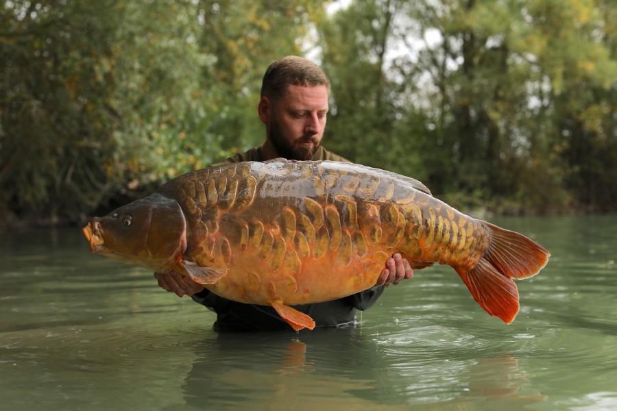 Mike Isted, 46lb, Shingles, 21/09/19