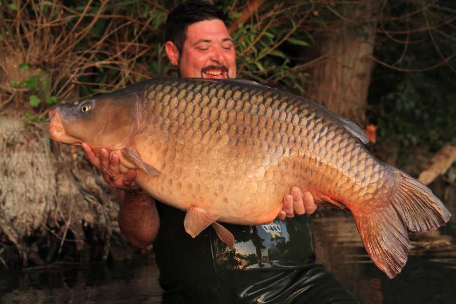 Raf with the Unnamed Common at 49lb from Turtles 25.07.20