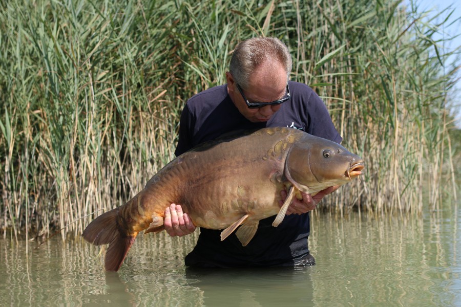 Dave with a big kiss for Lottchen at 43lb from Tea Party 2......