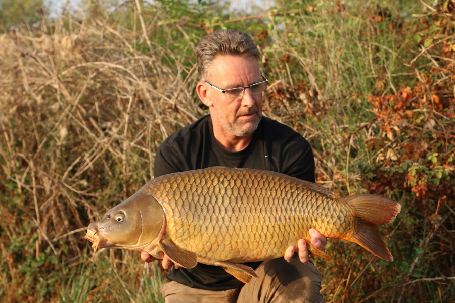 Mark had to work hard for this one!.....stunning in the sun is this low 20 common......