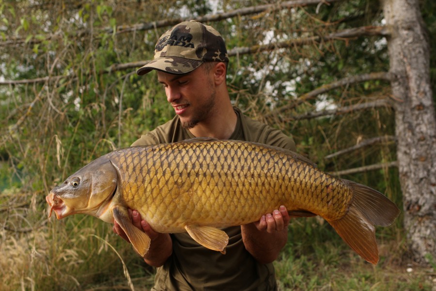 What a stunning example of a golden Road lake Common ............