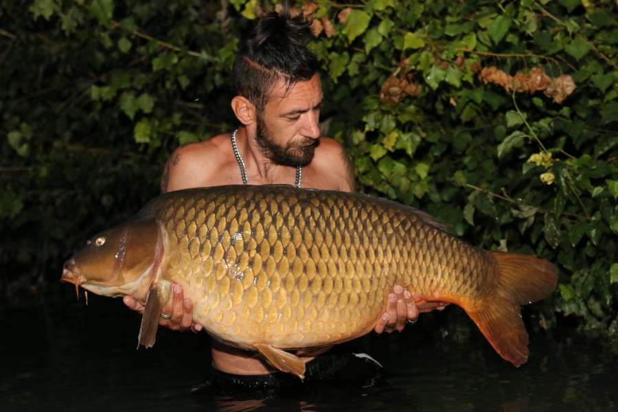 Well hello "Mable" A Team fish at 52lb slightly down in weight but made Steven a very happy man !!!..........