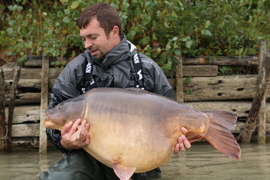 Eye-Q for Aaron at 52lb