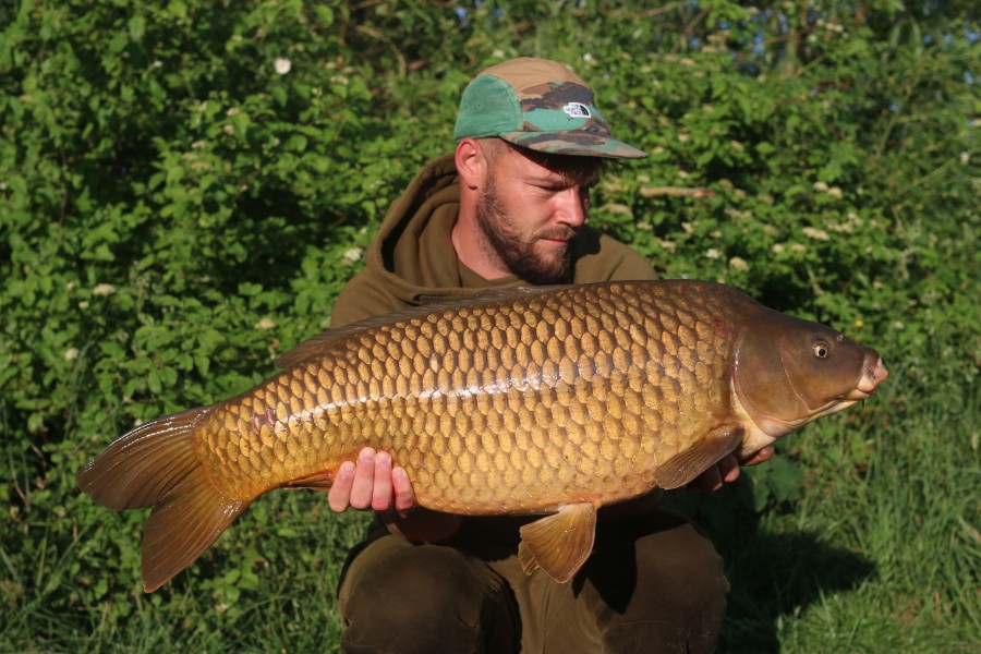 27lb Common for Jonathan in Turtles