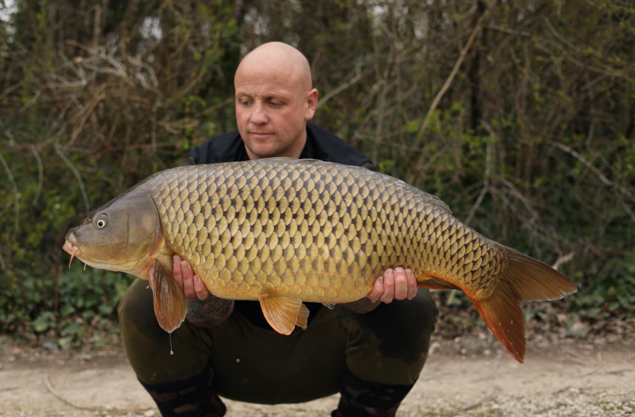Neil in Decoy with a pristine common.