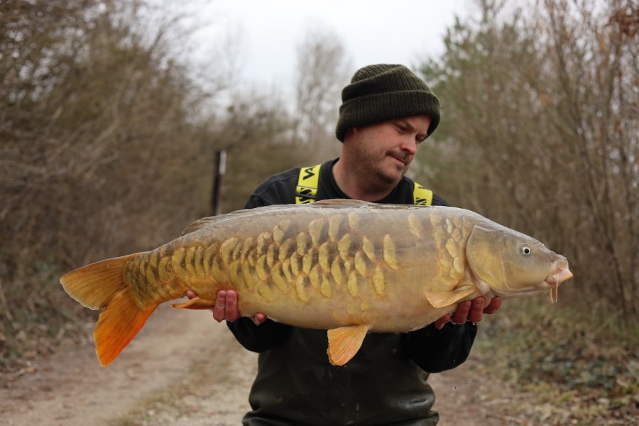 Stunning carp 27lb 10oz "Bobby"