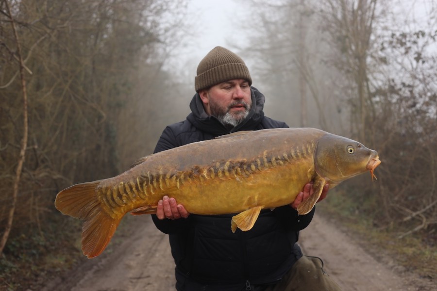 31lb 12oz of lovely carp