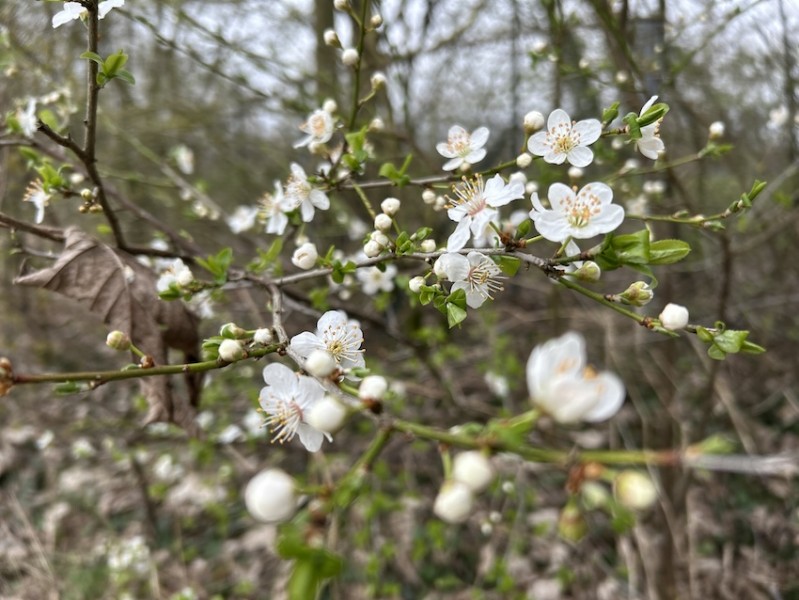 From Spring..........