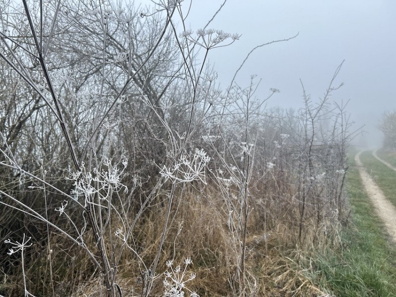 to Winter inside one week.