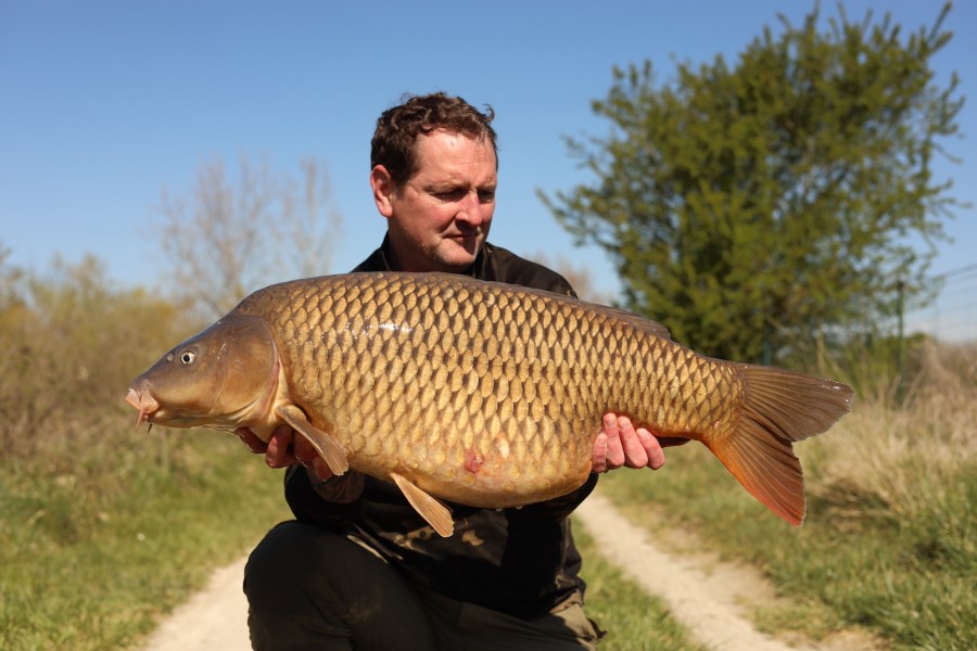 Nick's Common
