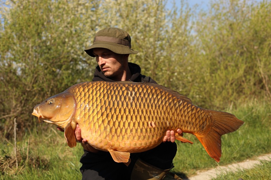 Dec's Common