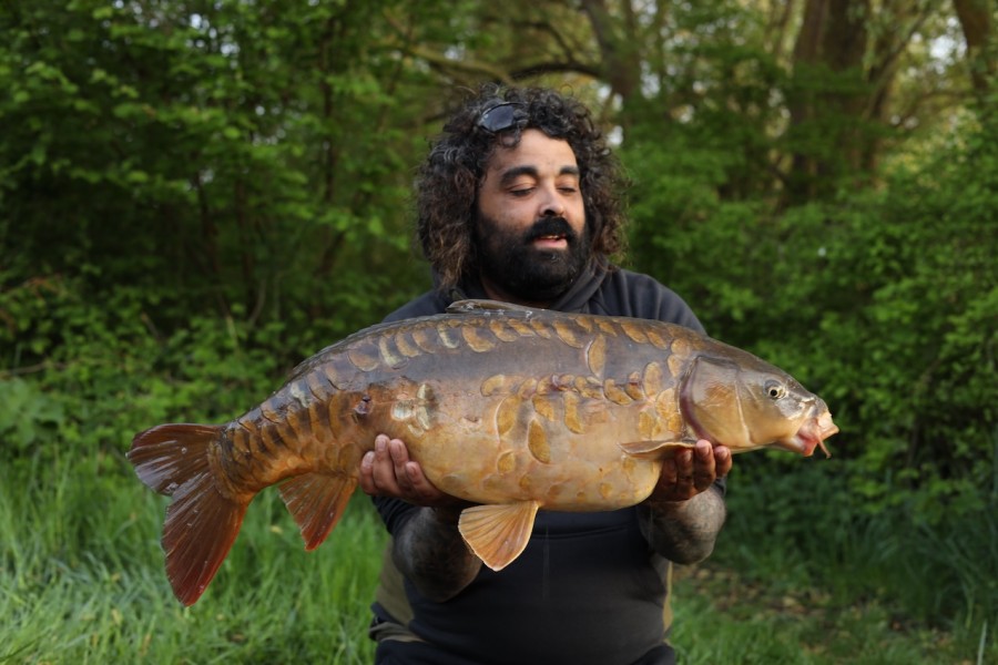 Nice carp, Autumn 23lb 8oz