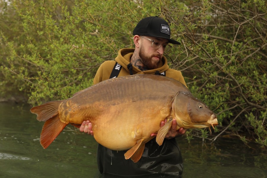The other, Boilie Head 50lb 8oz