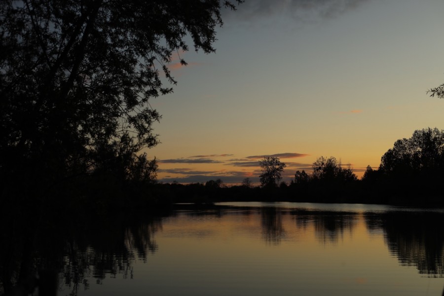 Sunsets are amazing