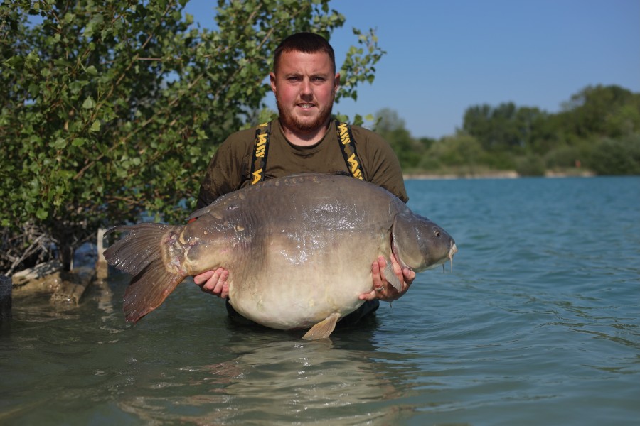 Ant with TJ 60lb PB
