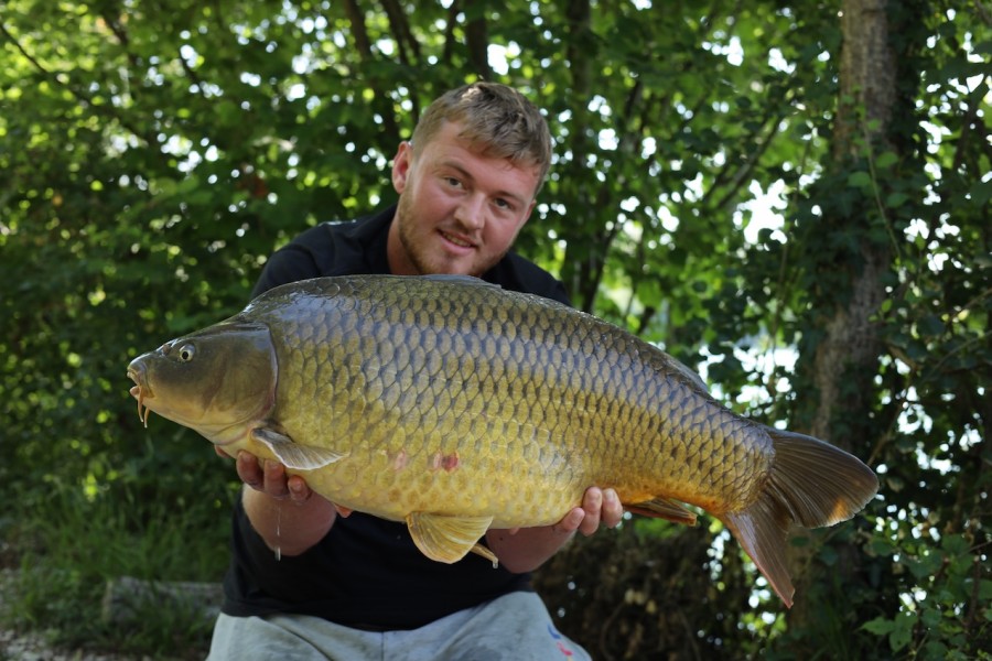 Rusty from Decoy at 29lb