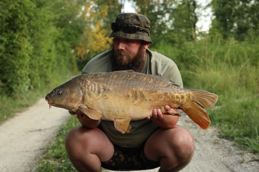 Lloyd with Baby Orange Scaley