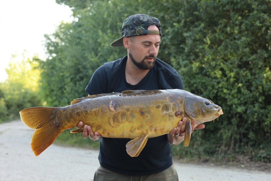 Nice Scaley for Ben on his Birthday, Mollie's Maise 21lb