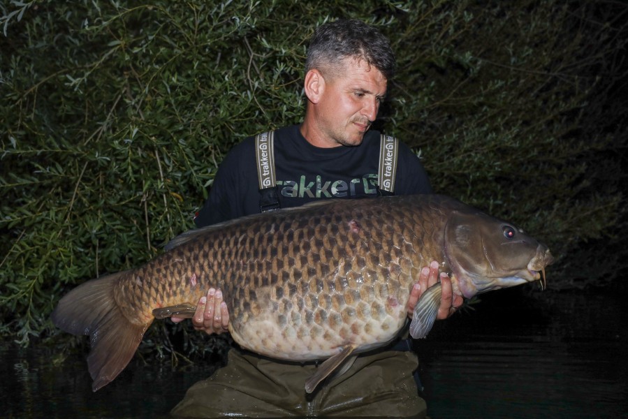 The Wedge, 57lb 4oz from Shingles