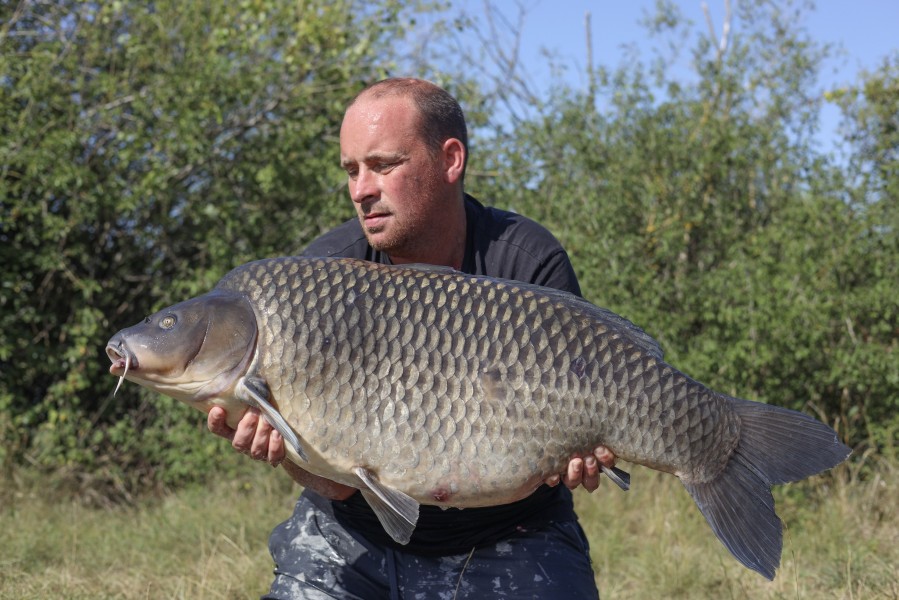 Snowflake from Double Boards, 45lb