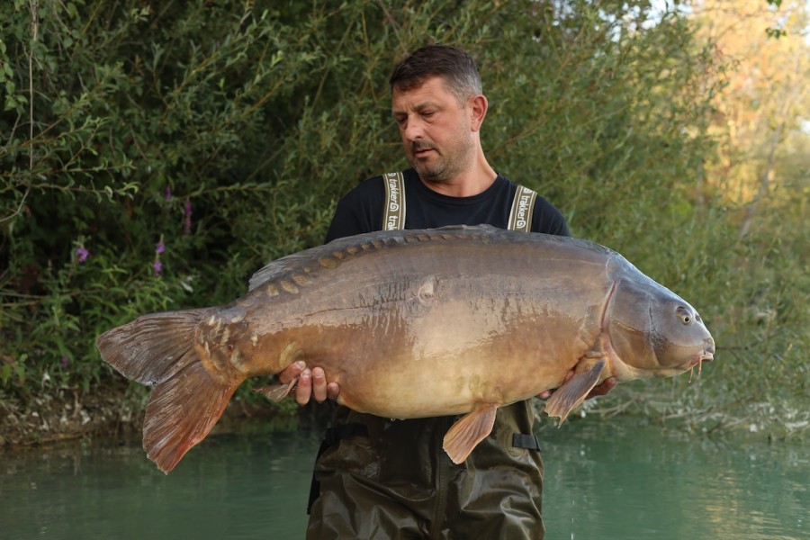 Lee with 2 Scale