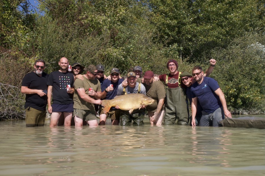 Social complete with Korda Social Common
