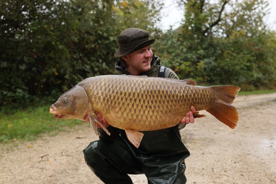 Riley 45lb