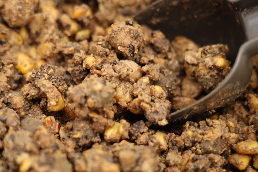 Bait for the session