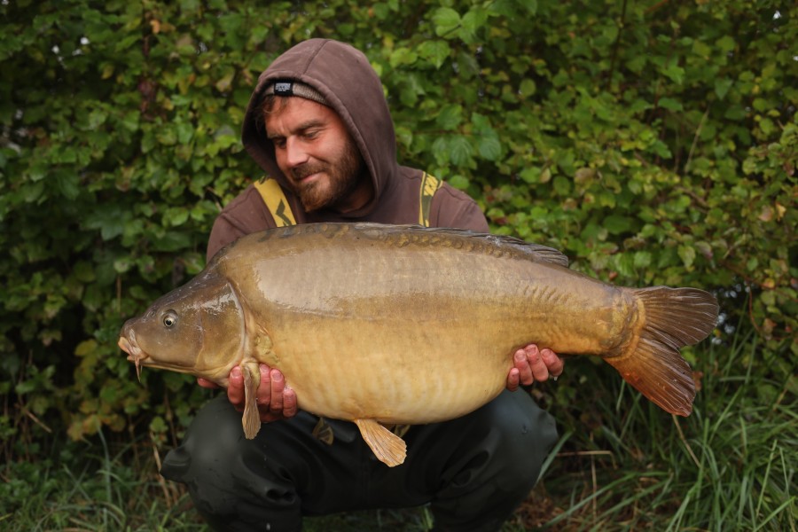 Sam with Gelato 40lb