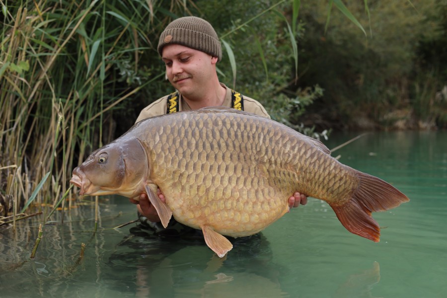 Louis with The Tish 50lb