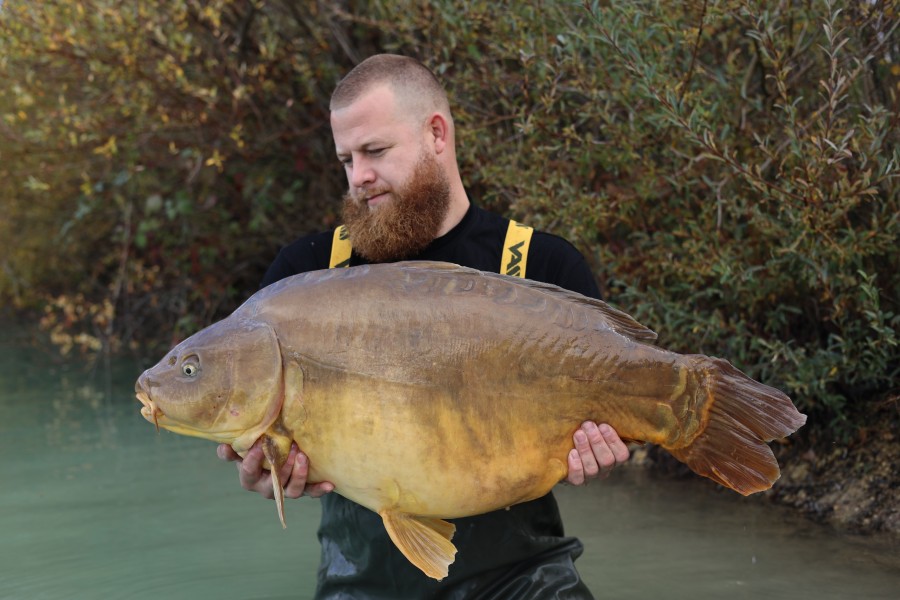 Nate with Broken Tail 50lb