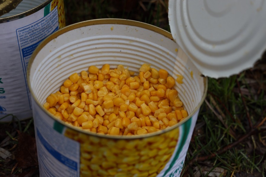 Plenty of the yellow stuff for the win in winter