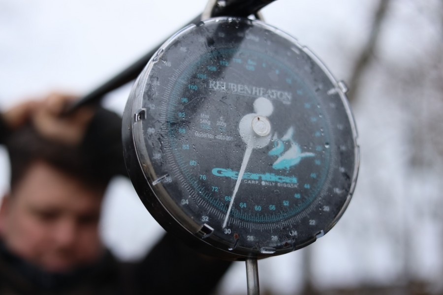 Up on the scales and a top weight