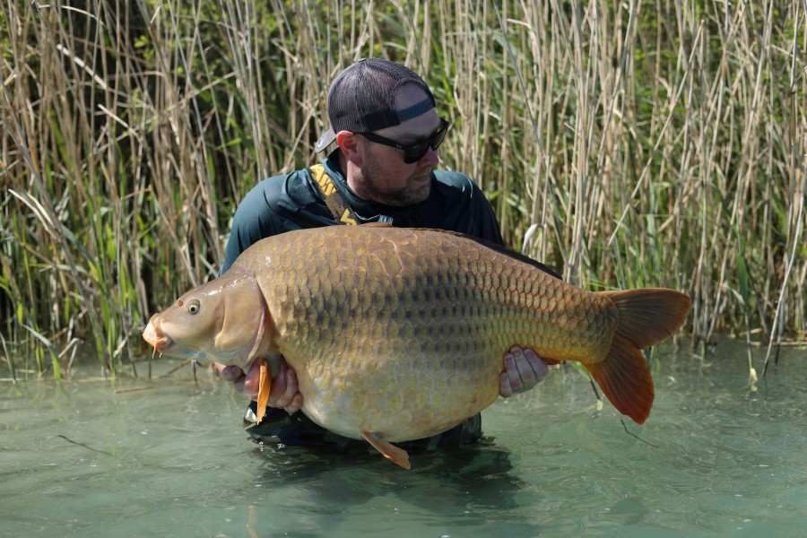 The Jackal 64lb