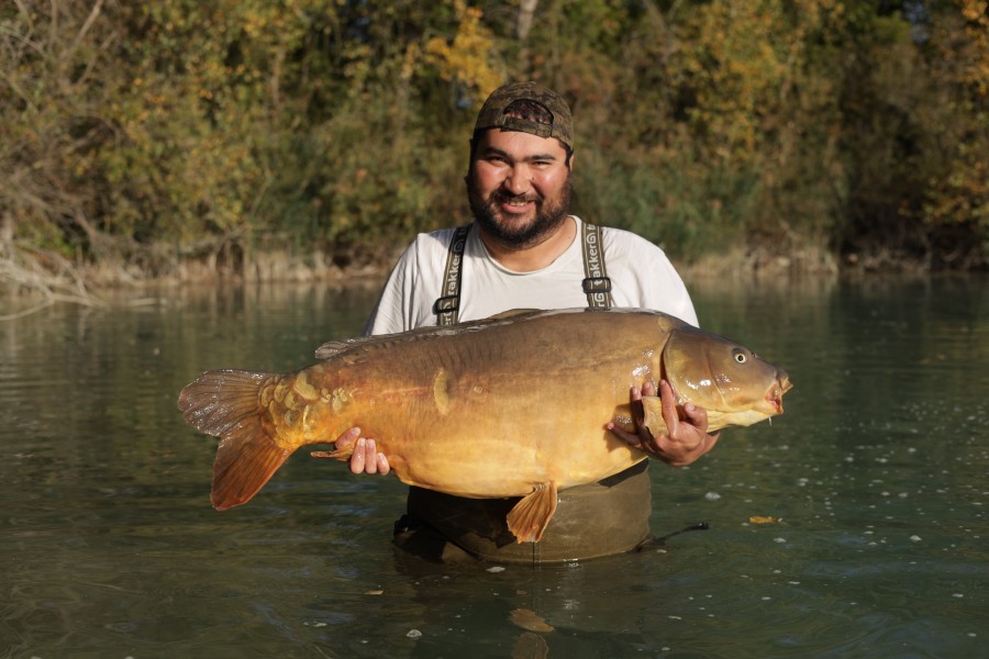 Darky 51lb